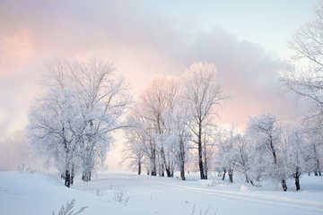 Snowy frozen landscape of sunrise on lakeside with trees
