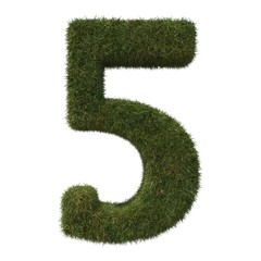 Grass Number Five