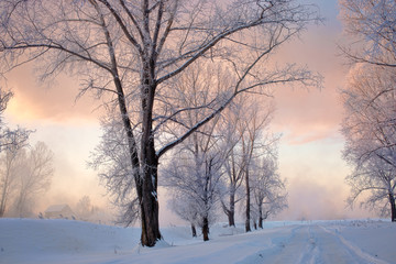 Snowy frozen landscape of sunrise on lakeside with trees
