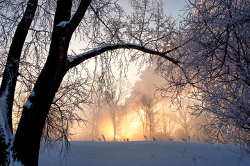 Snowy frozen landscape on sunrise with trees and smoke of factory
