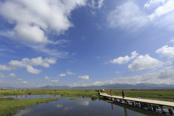 Plateau lakes, blue sky, white clouds and wetlands - 182660777