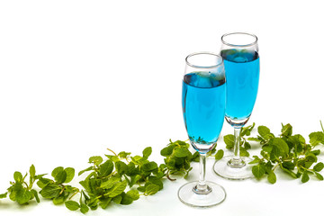 青いハーブティー　Butterfly Pea blue flower herbal tea