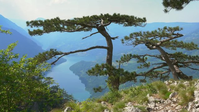 View from famous Banjska stena on Drina river in Tara National Park, Serbia, 4k
