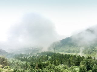 High mountain scenery, foggy morning light, wide green forest.