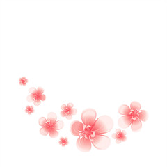 Pink flowers isolated on White background. Apple-tree flowers. Cherry blossom. Vector