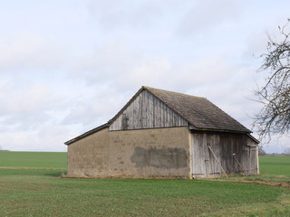 Fototapeta na wymiar agricultural shed on field, tree in autumn in the foreground.