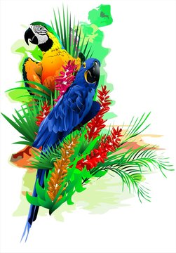 Colorful illustration with tropical birds in colors on an abstract background.