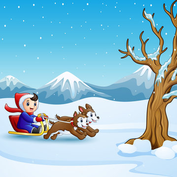 Happy boy riding on a sleigh pulled by two dog