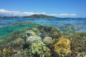 Obraz premium Nad i pod powierzchnią morza zdrowa rafa koralowa pod wodą w lagunie wyspy Grande Terre u wybrzeży miasta Noumea, Nowa Kaledonia, Ocean Spokojny, Oceania