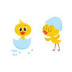 vector cartoon cute baby chicken characters set. Yellow small funny newborn chicks hatching, sitting in egg, standing with shell at head. Flat bird animal, isolated illustration on a white background.