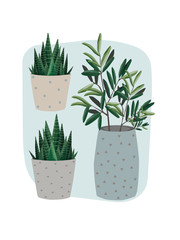 illustration - a potted plant