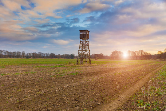 Jagd J&auml;ger Hochsitz im Morgenlicht Herbst Winter Landleben Weidwerk Forstwirtschaft Jagdsaison, Tagesanbruch, Morgenstunden, morgens, Herbstmorgen, herbstlich, schwarzwild deutschland 