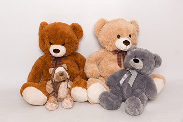 Osos de peluche de diferentes colores y tamaños.