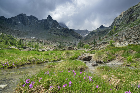 Stream flowing through Valle Airale, Sentiero Roma, Bergell range, Lombardy, Italy