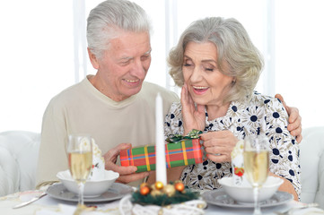 Senior couple celebrating Christmas