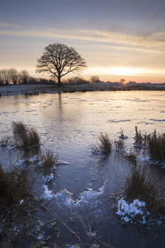 Katenhofer moor at sunset, Daenisch Wohld, Rendsburg-Eckernfoerde, Schleswig-holstein, Germany