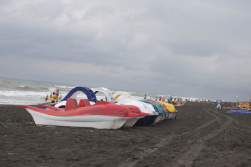photo pedal catamarans of different flowers on the bank sea