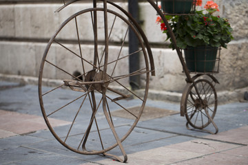 Fototapeta na wymiar Metal bikes used as flowerpots 