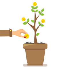 Fototapeta premium Investment growth concept, hand holding golden coin and small money tree.