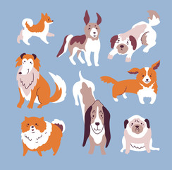 Vector illustration with dog set isolated elements on the blue background. Trendy scandinavian design. 