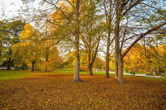 Autumn in Sempione Park in Milan, Italy.