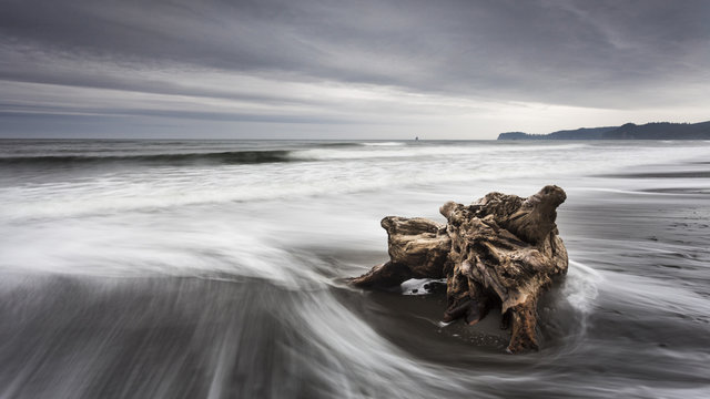 Coastal landsape, Jefferson County, Olympic National Park, Highway 101, Pacific, Washington, West Coast, USA
