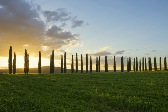 landscape near San Quirico d`Orcia, Val d`Orcia, province of Siena, Tuscany, Italy, UNESCO World Heritage