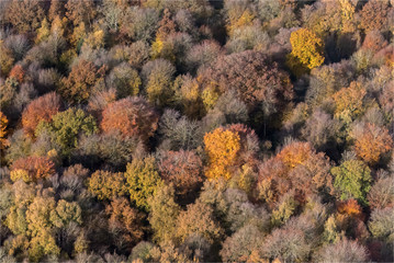 Naklejka na ściany i meble Photo aérienne de forêt à l'automne à Grumesnil en Seine Maritime en France