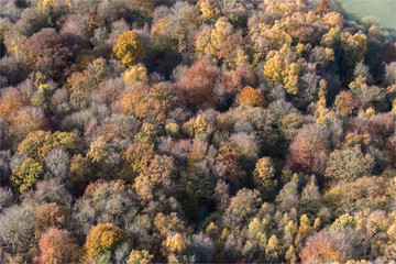Photo aérienne de forêt à l'automne à Grumesnil en Seine Maritime en France