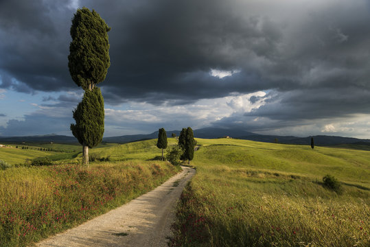 landscape near Pienza, Val d`Orcia, province of Siena, Tuscany, Italy, UNESCO World Heritage