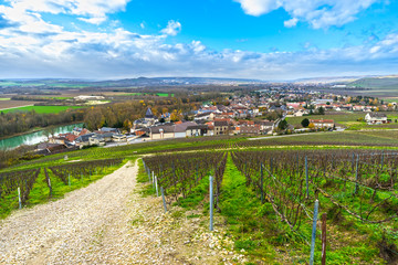 Mareuil sur ay, Epernay, Marne, Champagne region, France
