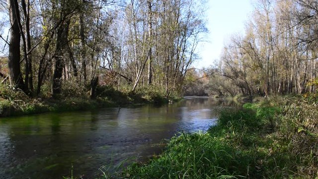 autunno su fiume in una bella giornata di sole