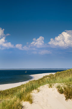 Dunes, Ellenbogen, Sylt Island, North Frisian Islands, Schleswig-Holstein, Germany