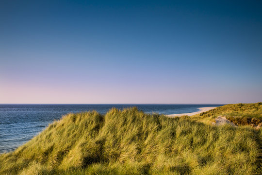 Dunes, Ellenbogen, Sylt Island, North Frisian Islands, Schleswig-Holstein, Germany