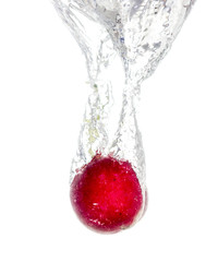 radish in water isolated on white background