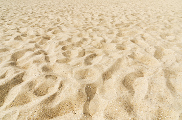 sand close up on the beach as background or texture