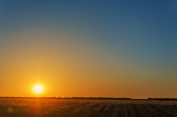 Fototapeta na wymiar sunset in orange sky over field with crop