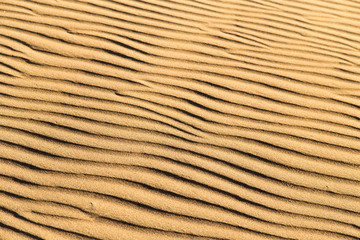 Sand in the desert as a background