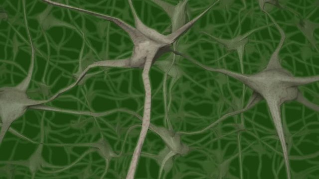 Neurons brain mind axon thought neural network dendrite cell health science alien 4k