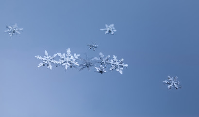 Macro of snowflakes on glass