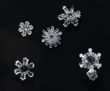 Various Snowflakes