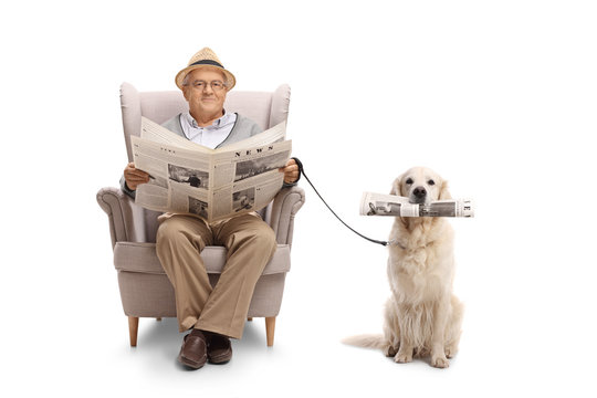 Mature man seated in an armchair holding a newspaper and a labrador retriever with a newspaper