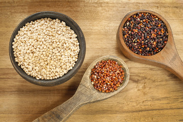 Seeds of white, red and black quinoa - Chenopodium quinoa