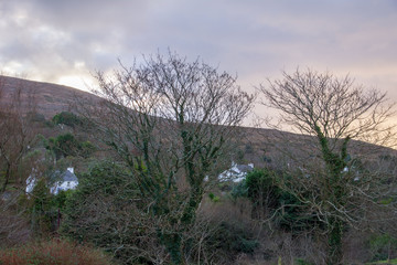 Farmhouses on Irish hillside