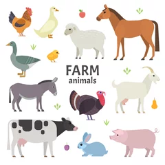 Meubelstickers Boerderij Vector collectie van boerderijdieren en vogels in trendy vlakke stijl, met inbegrip van paard, koe, ezel, schaap, geit, varken, konijn, eend, gans, kalkoen en kip, geïsoleerd op wit.