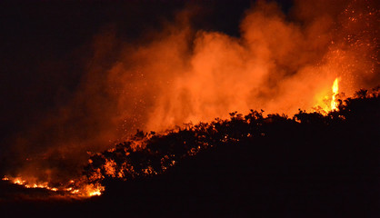 Fototapeta na wymiar Gorse fire in Ireland.