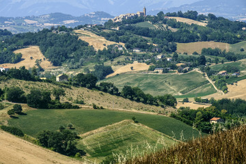 Naklejka premium Summer landscape near Monterubbiano (Fermo, Marches)