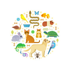 Vector colorful collection of pets, including dog, cat, rabbit, tortoise, parrot, snake, guinea pig, chameleon, hamster, tarantula and canary arranged in a circle, isolated on white.