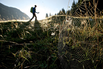 Spider's web on a meadow in front of an male hiker, Oberstdorf, Bavaria, Germany