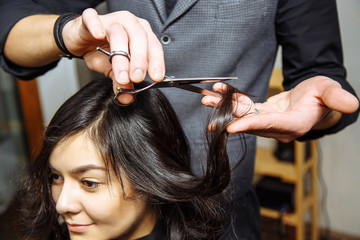 Fototapeta premium Women's haircut. Hairdresser, beauty salon.